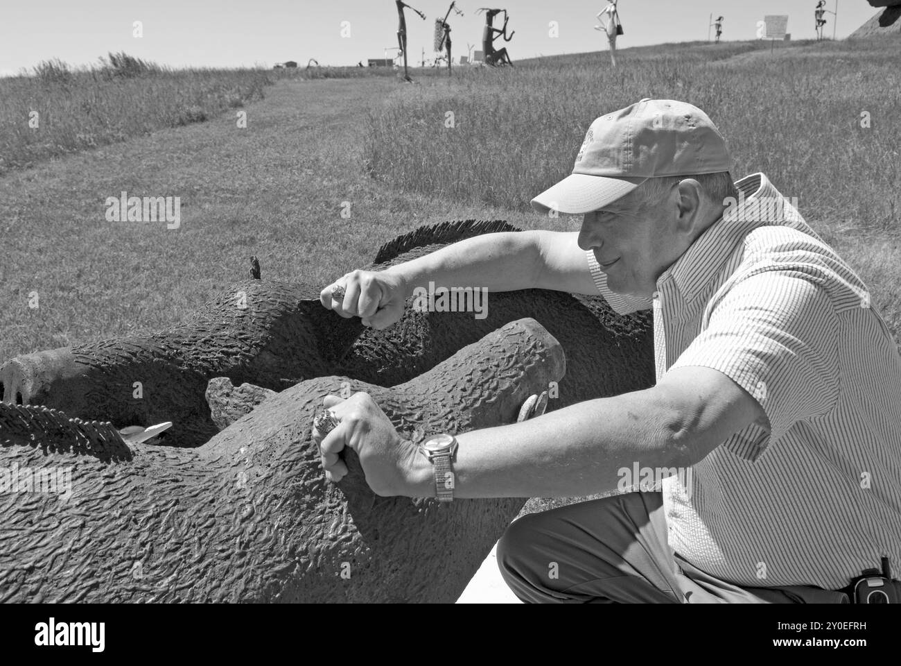 Un uomo caucasico di età compresa tra i 55 e i 60 anni interagisce con gioia con una statua di cinghiale al Porter Sculpture Park di Montrose, South Dakota. Foto Stock