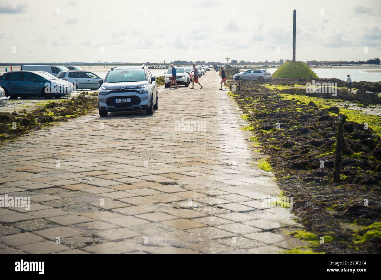 Il passaggio Gois, una strada che emerge solo durante la bassa marea, con persone che scavano molluschi. Isola di Noirmoutier, Francia. Foto Stock