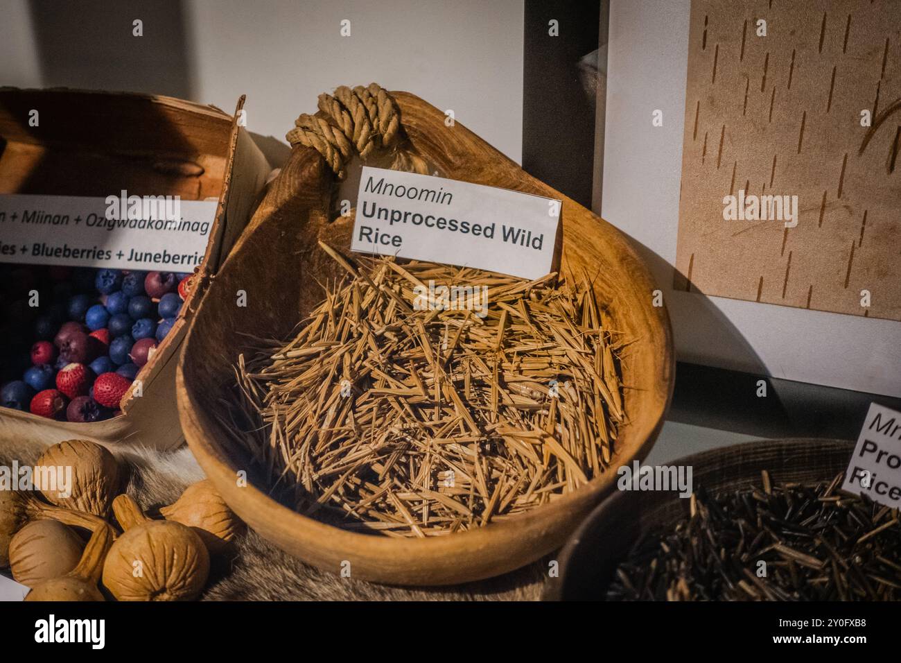 Il Centro visitatori del Parco Provinciale dei petroglifi, dedicato a mostrare la storia e la cultura indigena in Canada, con mostre su incisioni rupestri, tra Foto Stock