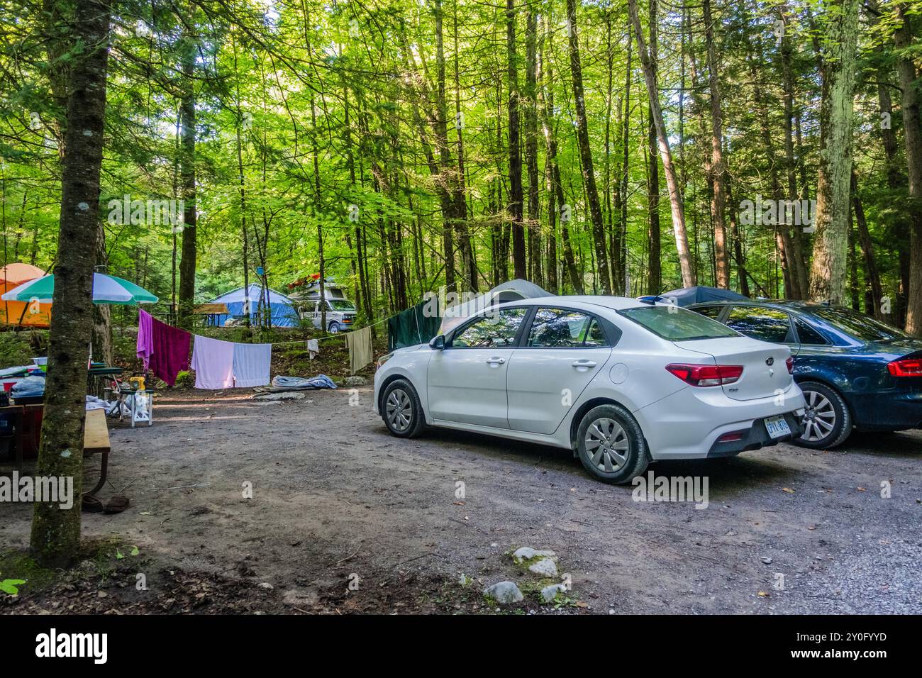 Campeggio all'aperto con auto parcheggiate all'interno dell'hotel. Le tende e l'attrezzatura da campeggio sono allestite in modo da offrire una configurazione tipica per un comodo e comodo comfort Foto Stock