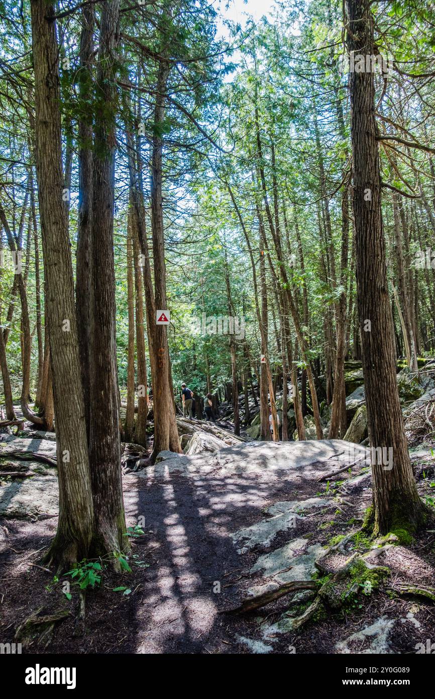La Warsaw Caves Conservation area in Canada presenta una serie di sette grotte calcaree formate circa 12.000 anni fa durante l'ultima era glaciale. Foto Stock