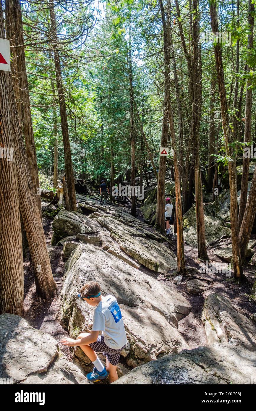 La Warsaw Caves Conservation area in Canada presenta una serie di sette grotte calcaree formate circa 12.000 anni fa durante l'ultima era glaciale. Foto Stock
