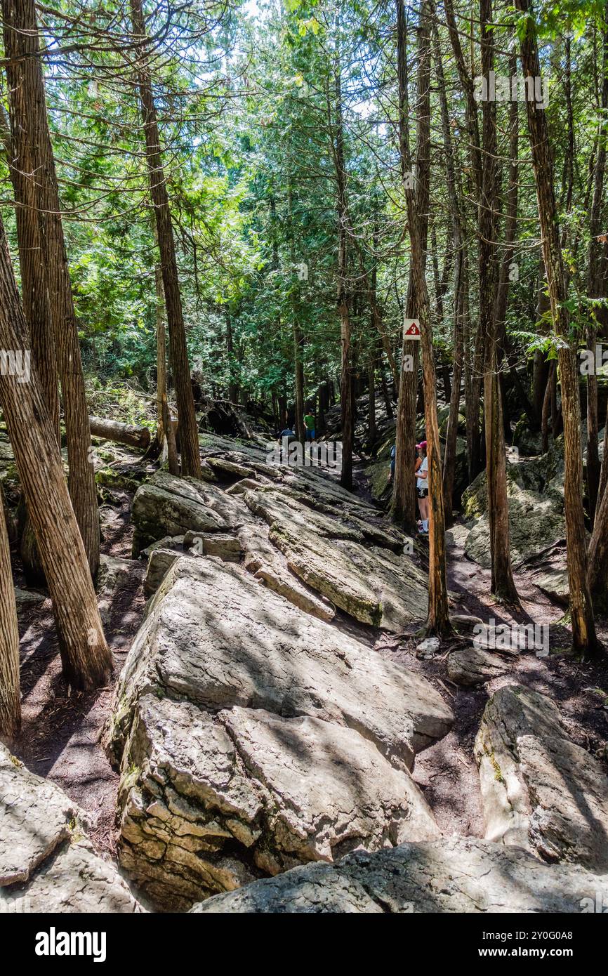 La Warsaw Caves Conservation area in Canada presenta una serie di sette grotte calcaree formate circa 12.000 anni fa durante l'ultima era glaciale. Foto Stock