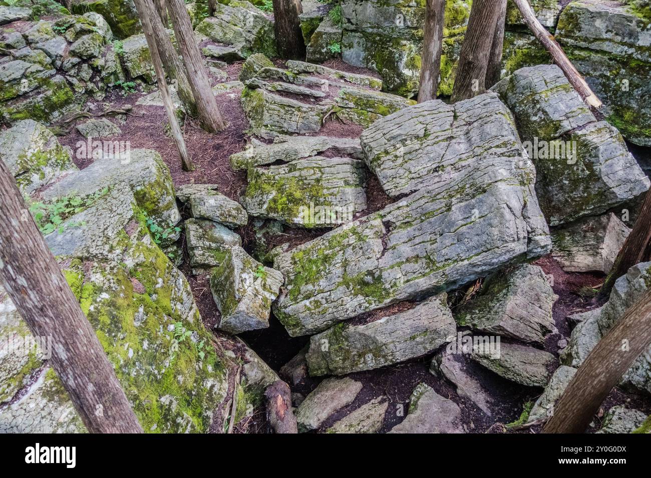La Warsaw Caves Conservation area in Canada presenta una serie di sette grotte calcaree formate circa 12.000 anni fa durante l'ultima era glaciale. Foto Stock