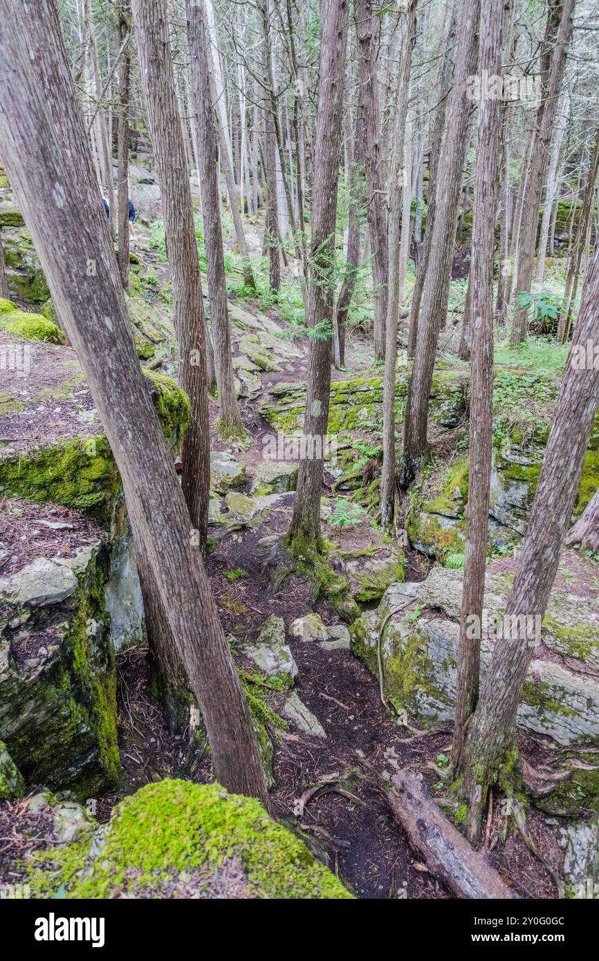 La Warsaw Caves Conservation area in Canada presenta una serie di sette grotte calcaree formate circa 12.000 anni fa durante l'ultima era glaciale. Foto Stock