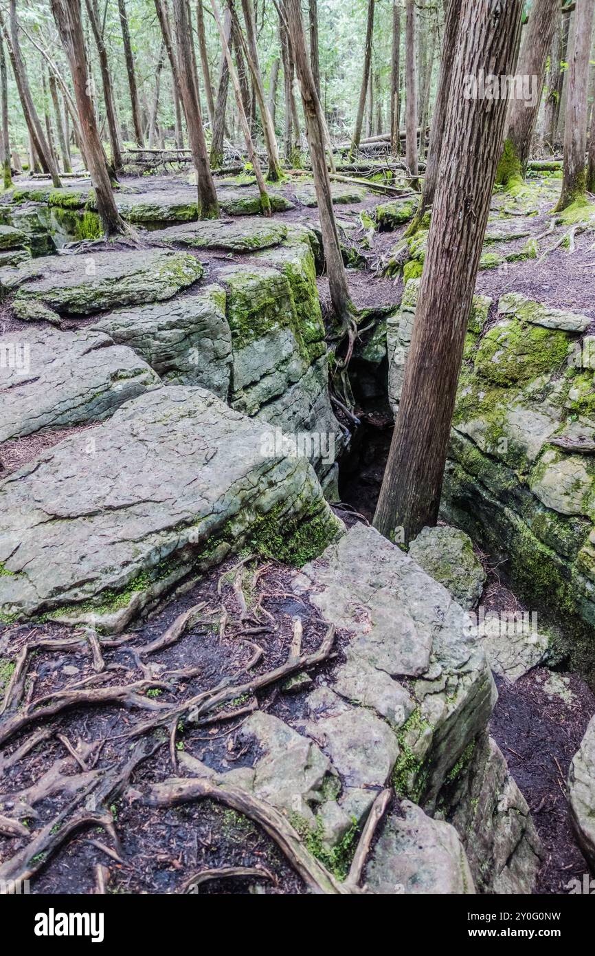 La Warsaw Caves Conservation area in Canada presenta una serie di sette grotte calcaree formate circa 12.000 anni fa durante l'ultima era glaciale. Foto Stock