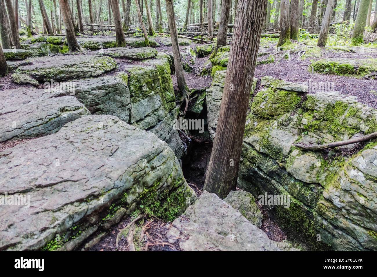 La Warsaw Caves Conservation area in Canada presenta una serie di sette grotte calcaree formate circa 12.000 anni fa durante l'ultima era glaciale. Foto Stock