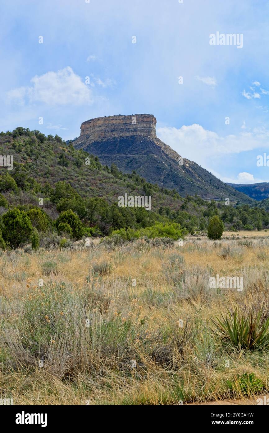 Point Lookout butte si affaccia sull'alta pianura desertica all'esterno del centro visitatori del Parco Nazionale di Mesa Verde Foto Stock