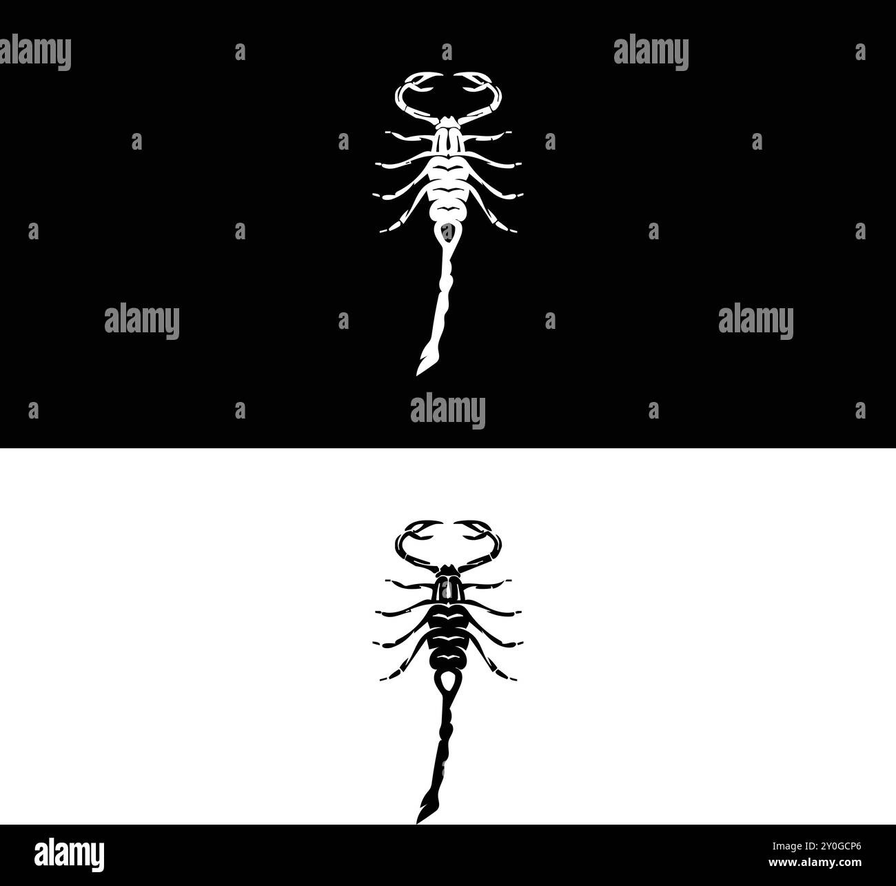 Silhouette creativa dei colori bianco e nero degli insetti Scorpion Illustrazione Vettoriale