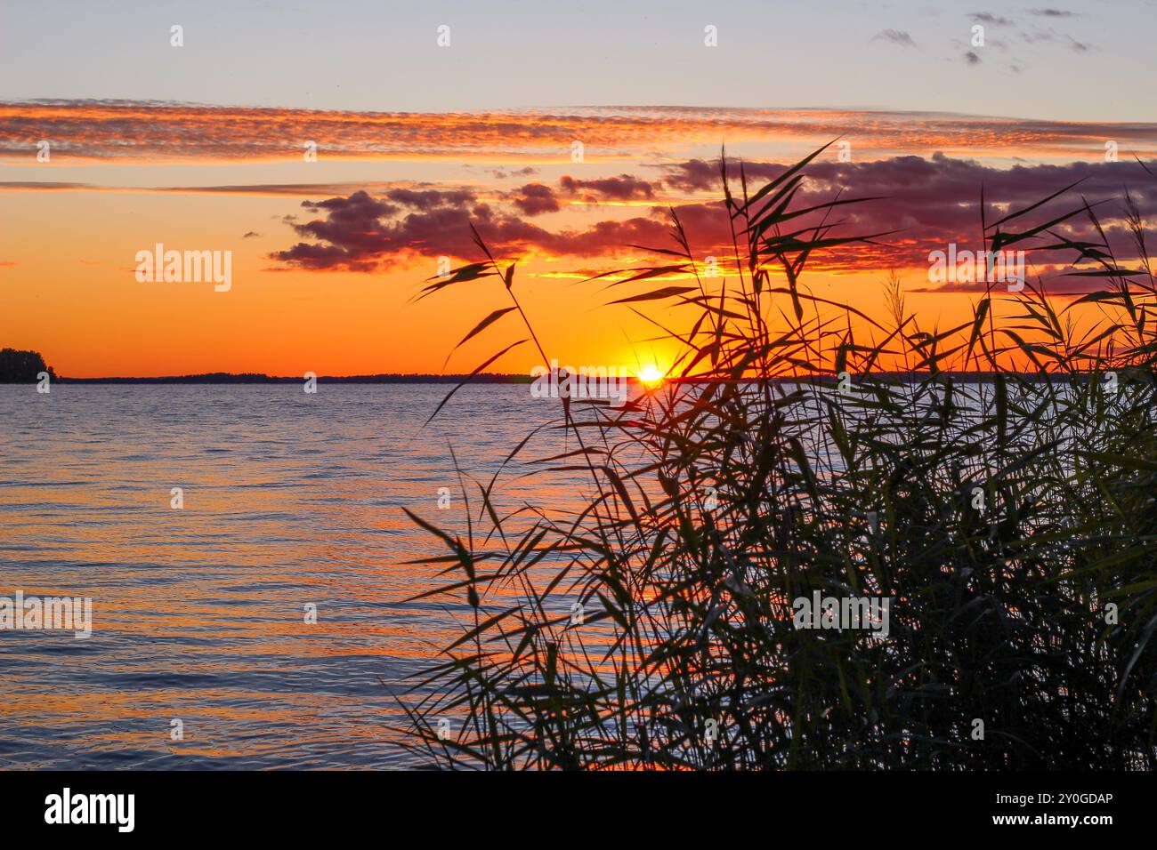 Tramonto estivo sul lago Foto Stock