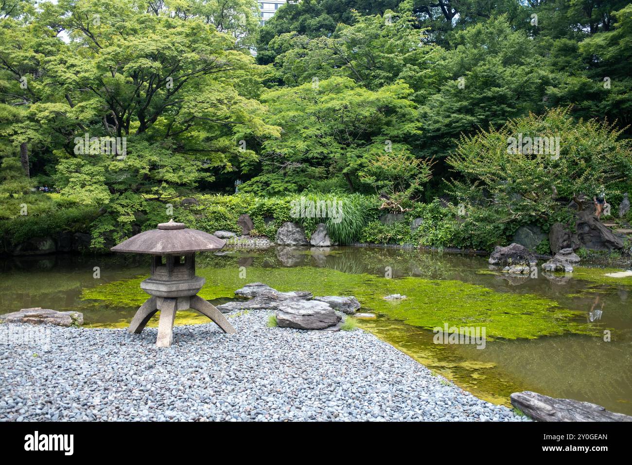 Ninomaru Garden presso i Giardini Est del Palazzo Imperiale Tokyo Giappone Foto Stock