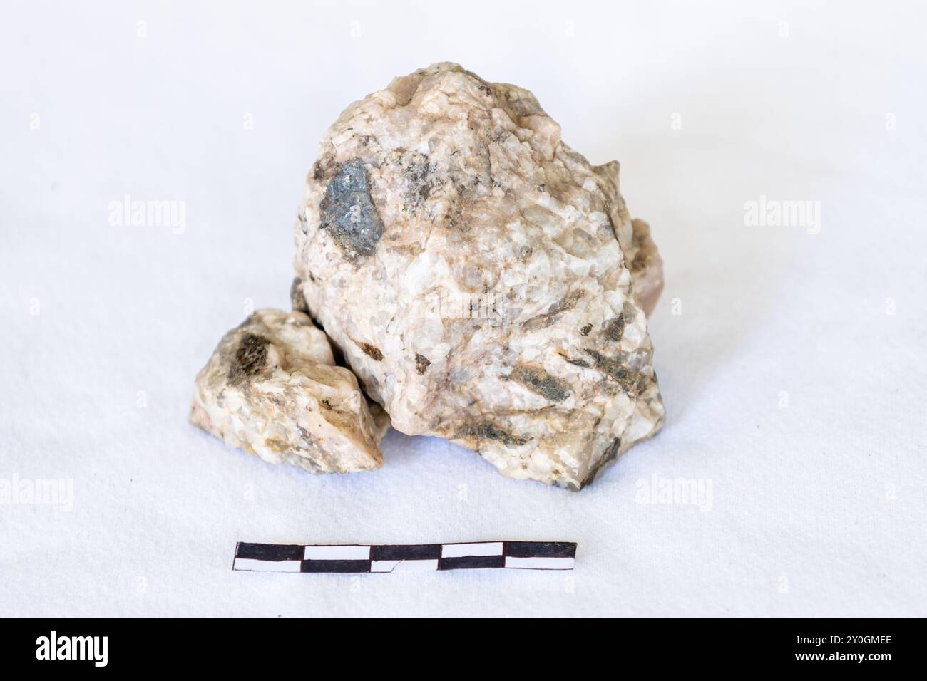 Plagioclasio feldspato e biotite Pegmatite su sfondo bianco con scala di 5 cm Foto Stock