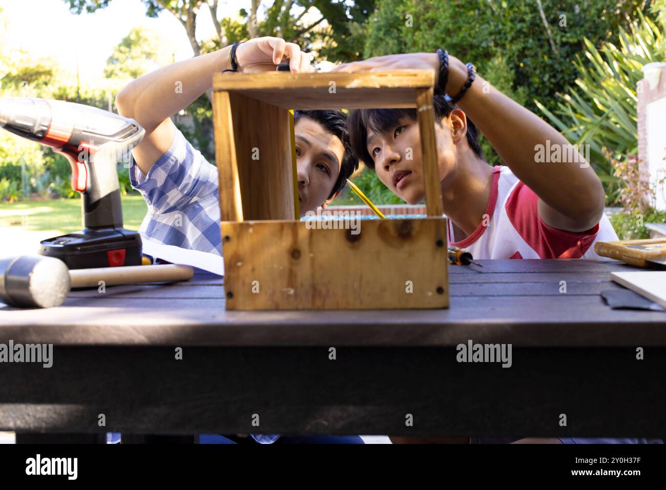 Costruzione di una casa per uccelli in legno, padre asiatico e figlio adolescente che si concentrano sulla costruzione all'aperto in giardino Foto Stock