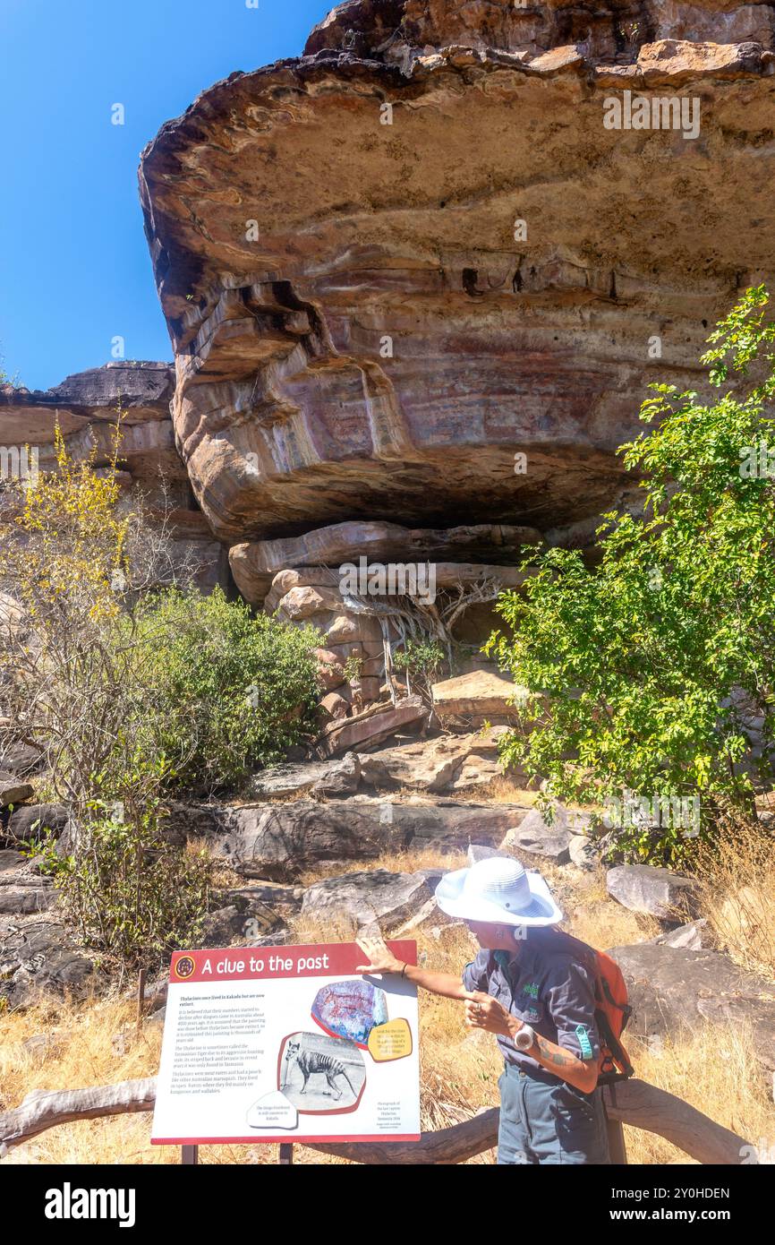 Guida che spiega gli antichi disegni presso il sito d'arte rupestre aborigena di Ubirr, il Parco Nazionale di Kakadu, l'autostrada Kakadu, Jabiru, territorio del Nord, Australia Foto Stock