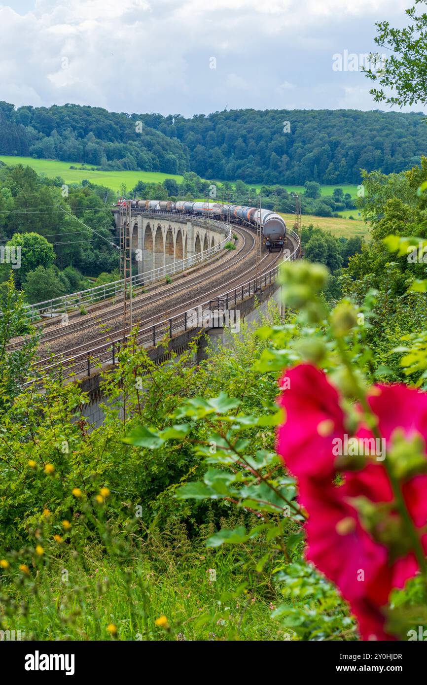 Altenbeken: Viadotto Altenbeken, ferrovia, treno merci a Teutoburger Wald, Nordrhein-Westfalen, Renania settentrionale-Vestfalia, Germania Foto Stock