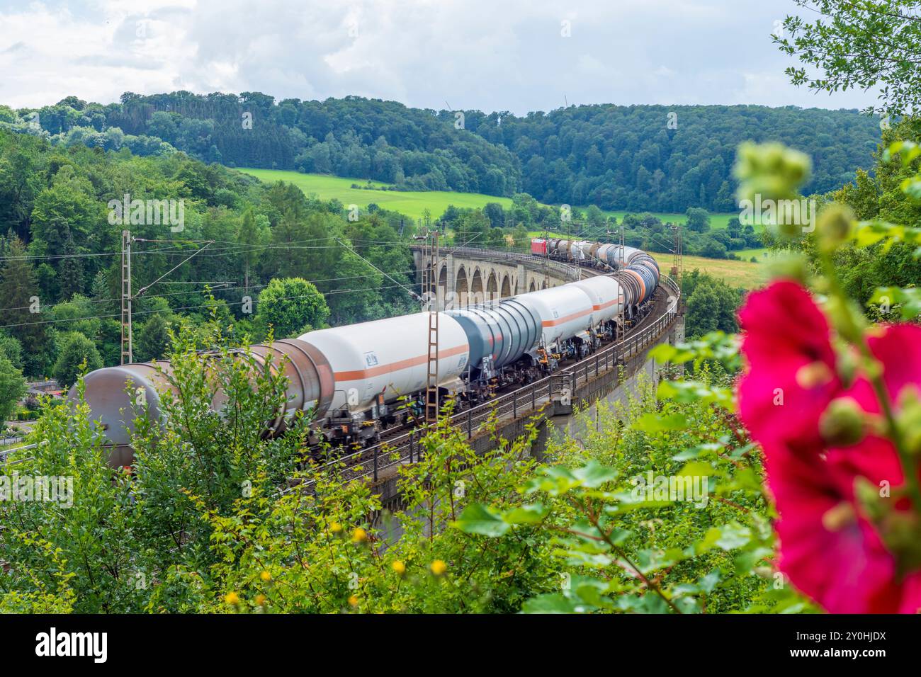Altenbeken: Viadotto Altenbeken, ferrovia, treno merci a Teutoburger Wald, Nordrhein-Westfalen, Renania settentrionale-Vestfalia, Germania Foto Stock