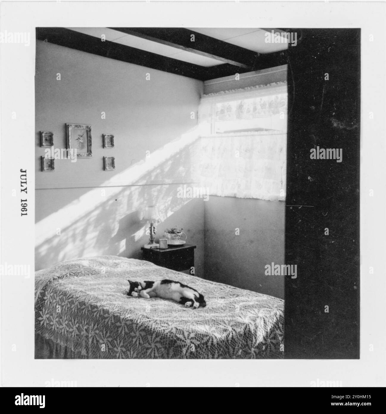 Foto vintage 1961 in bianco e nero dell'animale domestico di famiglia che dorme in camera da letto, California, Stati Uniti Foto Stock