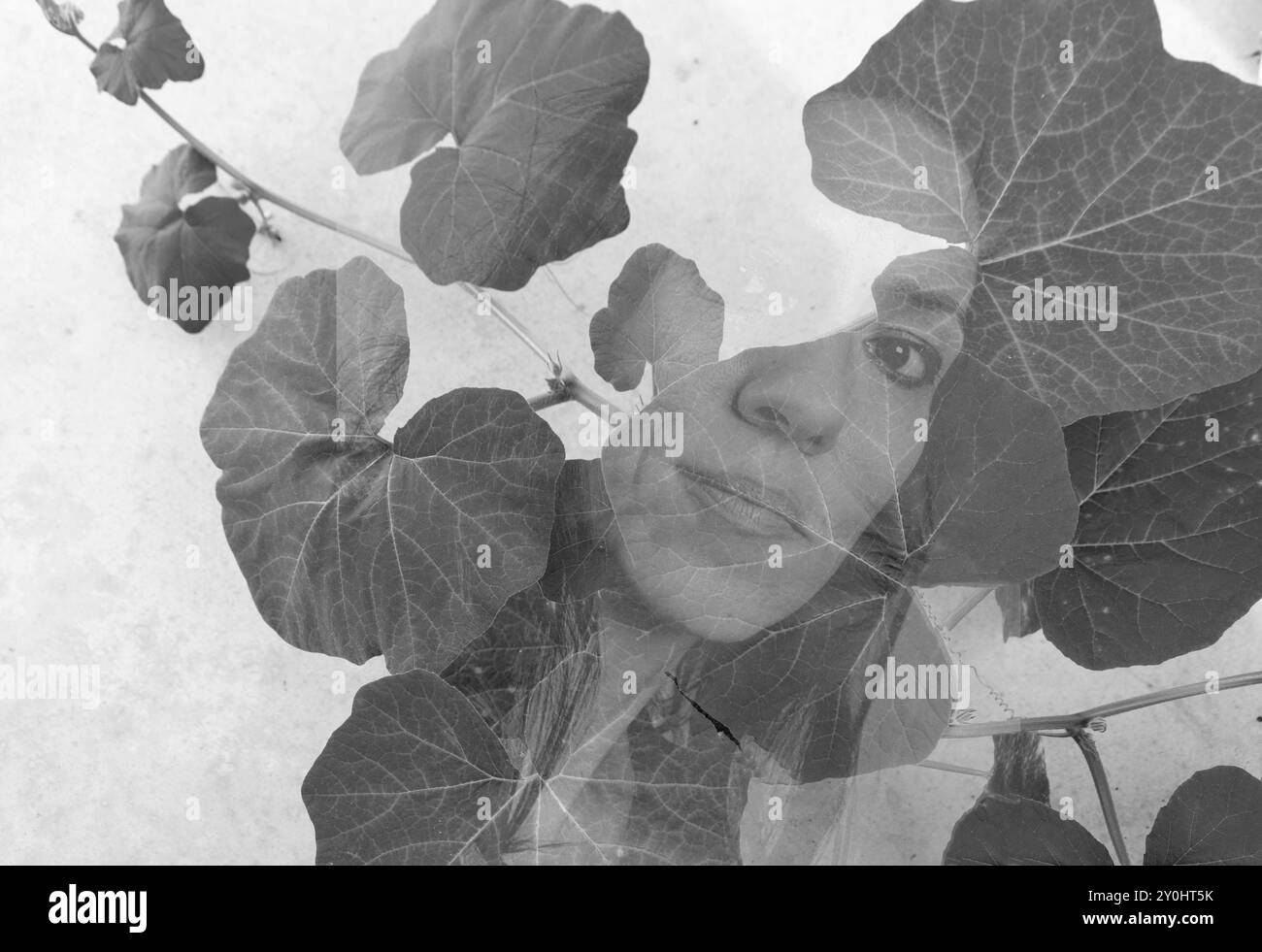Immagine astratta monocromatica a doppia esposizione del volto di una giovane donna oscurata dalle foglie di una pianta - colpo alla testa con sovrapposizione di piante Foto Stock