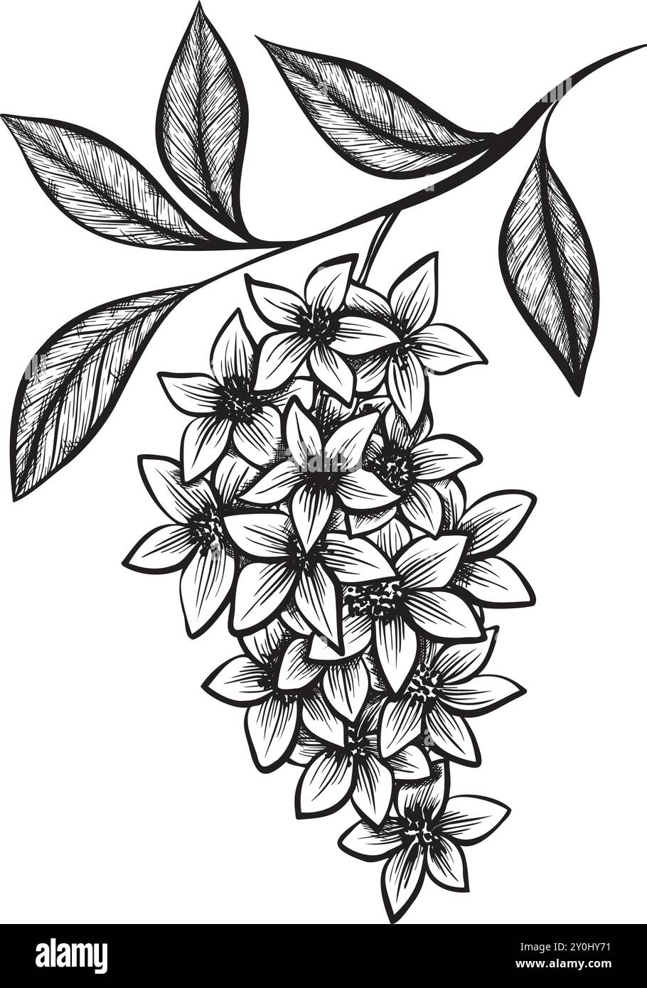 Disegno vettoriale in inchiostro bianco e nero di un gruppo floreale con foglie. Ideale per illustrazioni botaniche, disegni di tatuaggi o arte decorativa Illustrazione Vettoriale