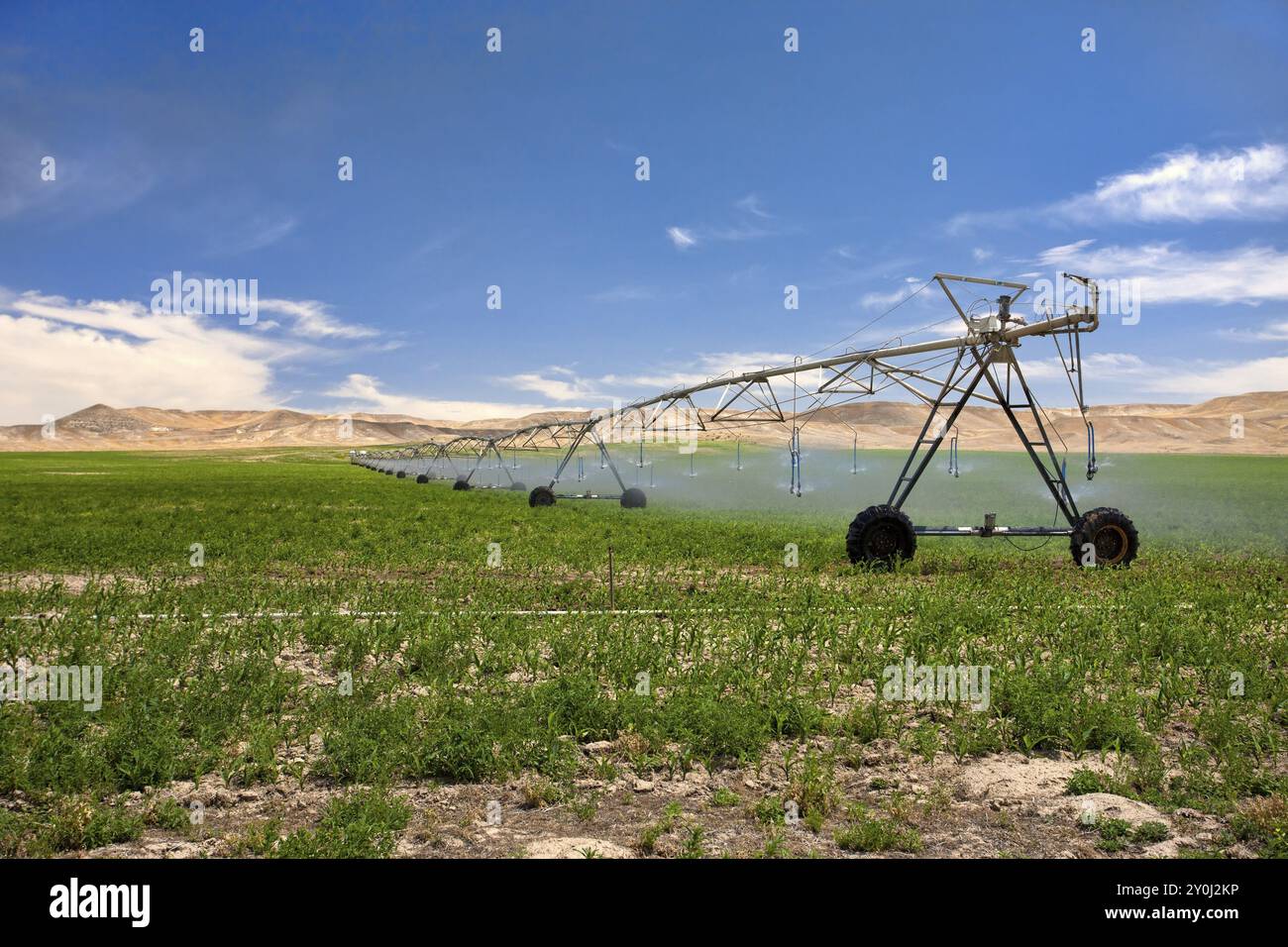 Sistema di irrigazione che spruzza il campo di colture vicino a Bruneau, Idaho Foto Stock