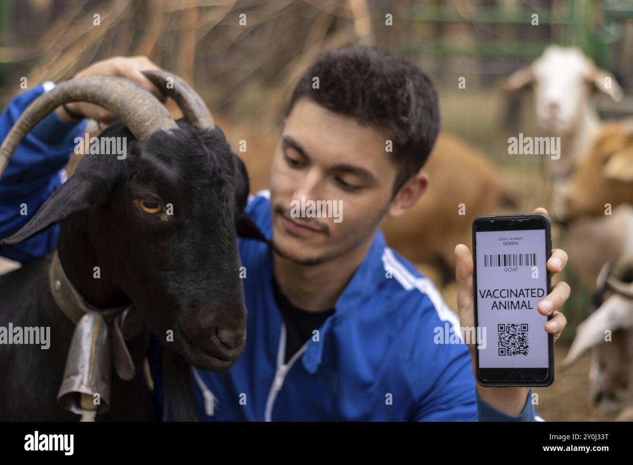 Ritratto di un veterinario che mostra il certificato di vaccinazione di una capra su un telefono cellulare Foto Stock