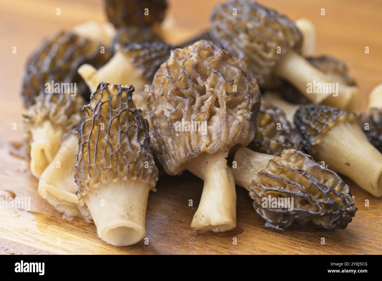 Una foto ravvicinata di un mucchio di funghi morel appena raccolti e puliti Foto Stock