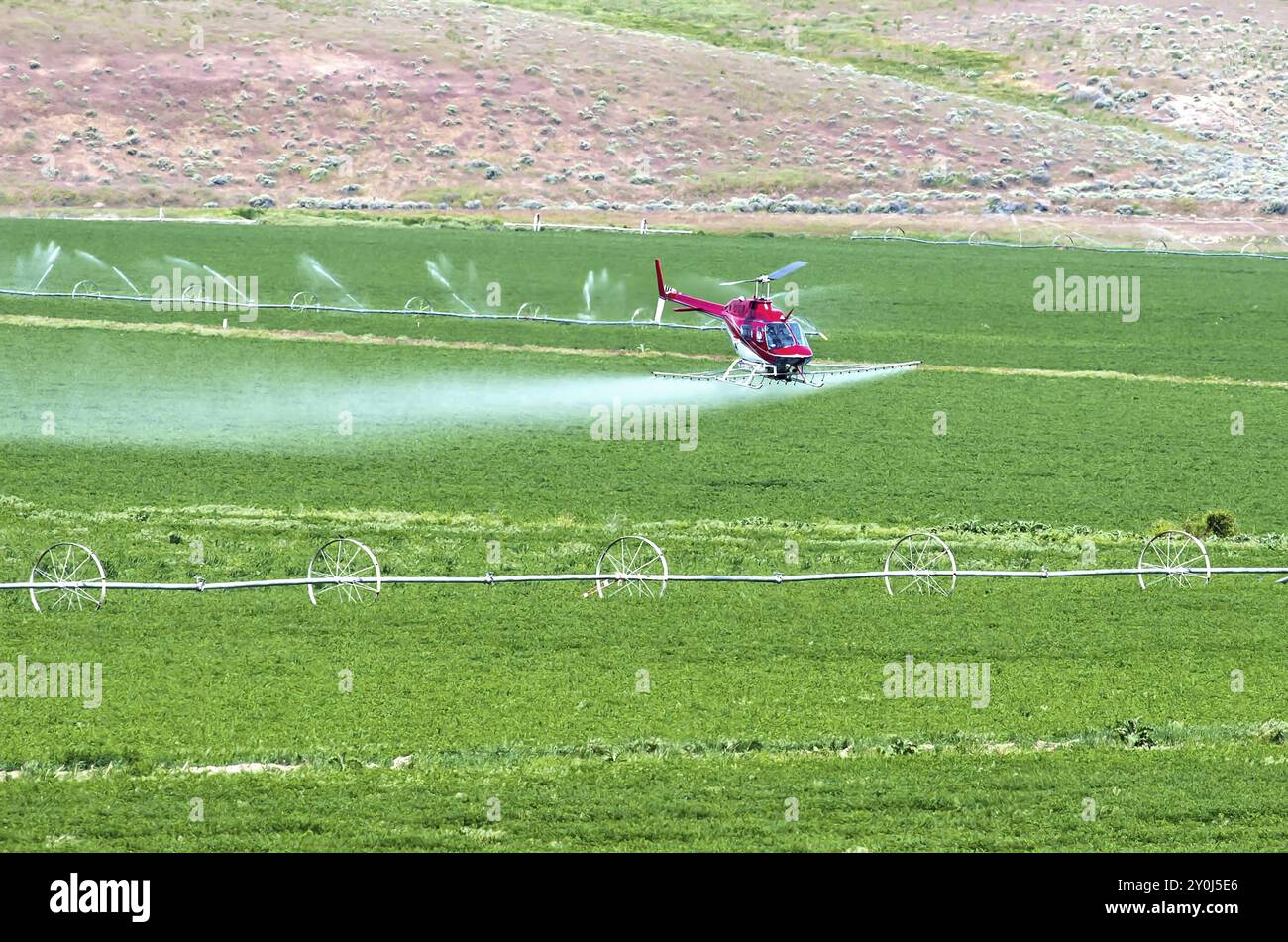 Un elicottero è la formazione di polvere di raccolto di un campo di fattoria in North Central Oregon Foto Stock