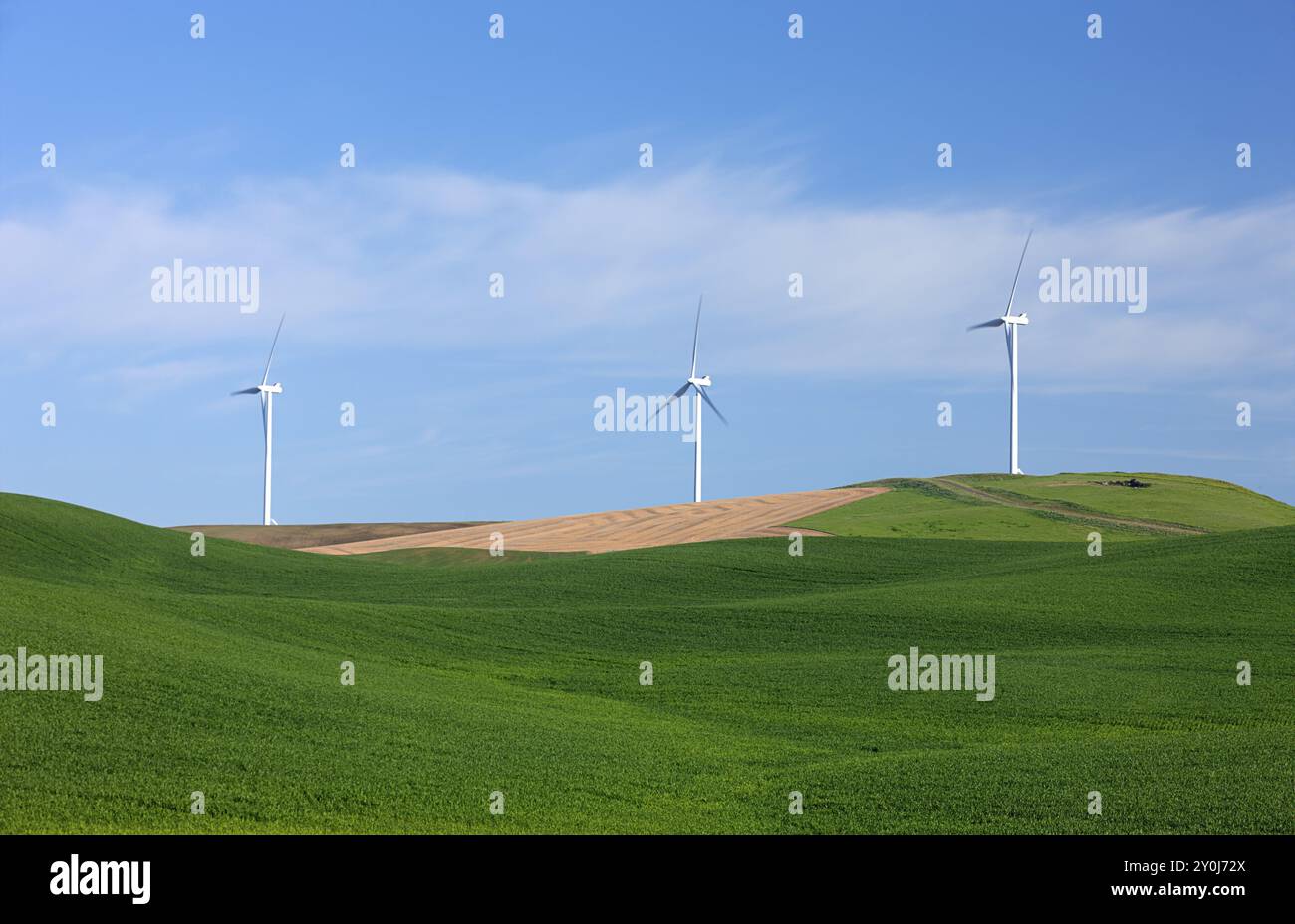 Turbine eoliche a energia pulita che operano nella regione di palouse, nella parte orientale di Washington Foto Stock