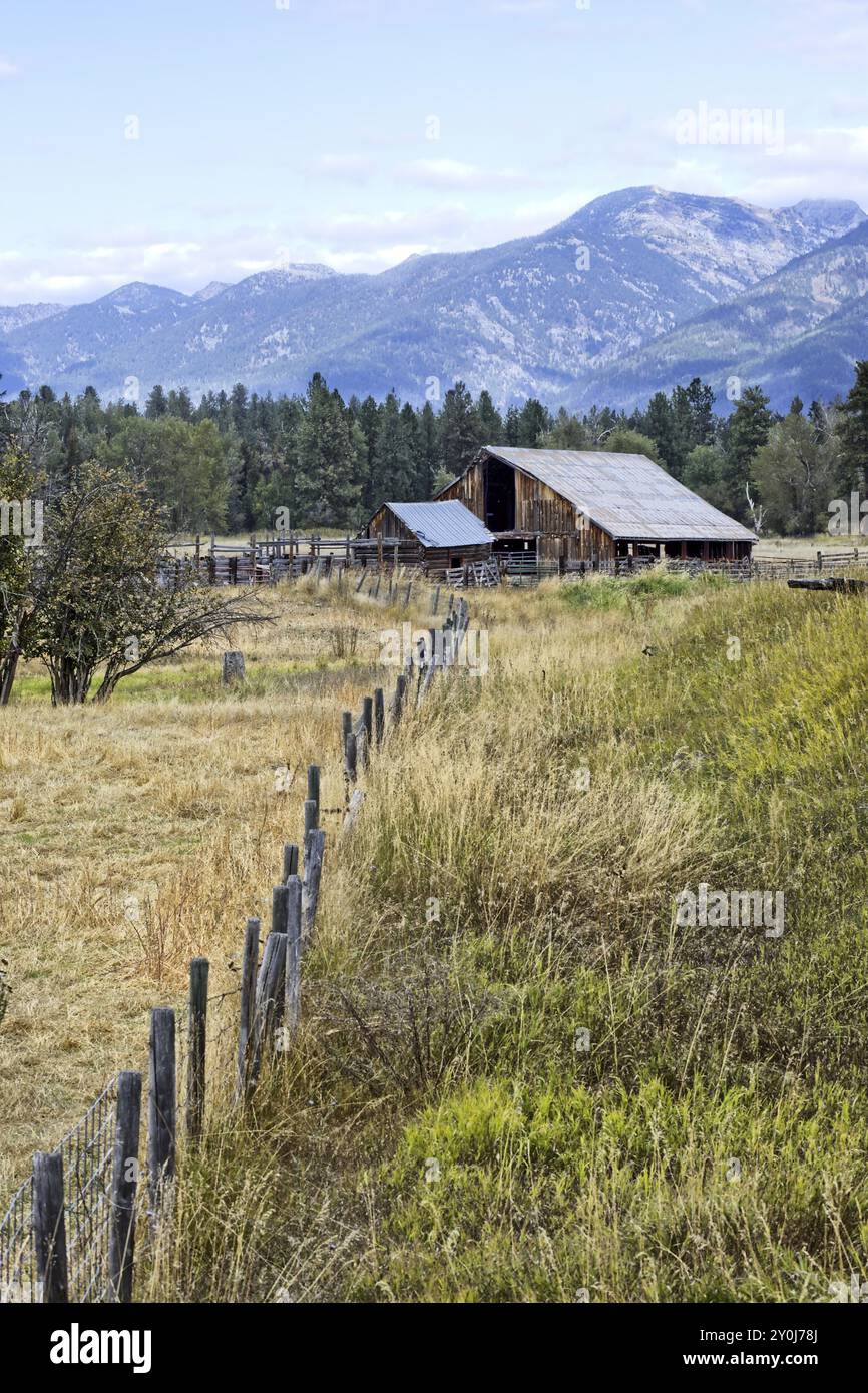 Un vecchio fienile in un pascolo con le montagne della missione sullo sfondo vicino a St. Ignatius, Montana Foto Stock