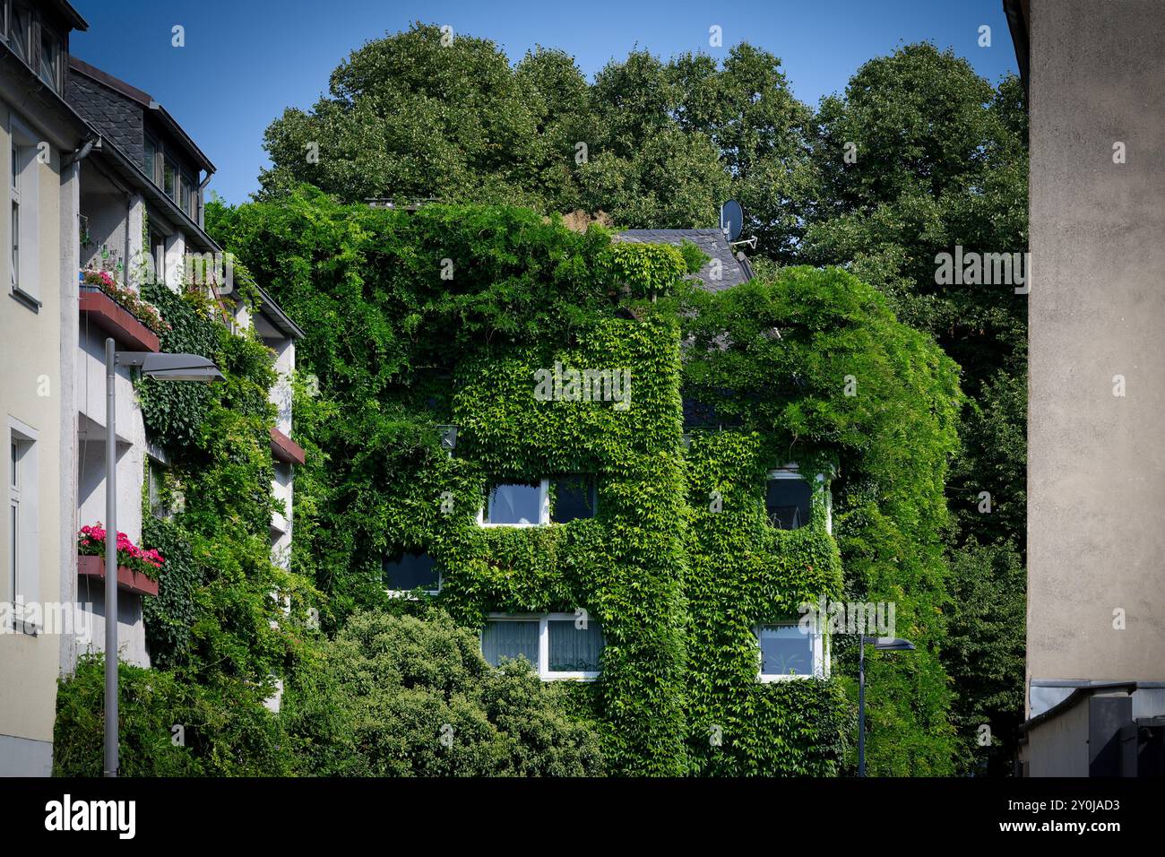 la facciata del centro di colonia è più verde per un clima migliore in città Foto Stock