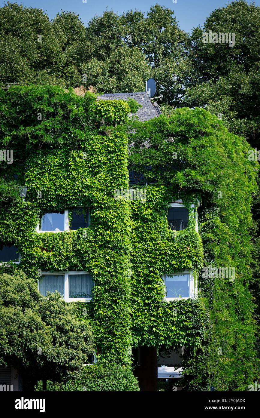 la facciata del centro di colonia è più verde per un clima migliore in città Foto Stock