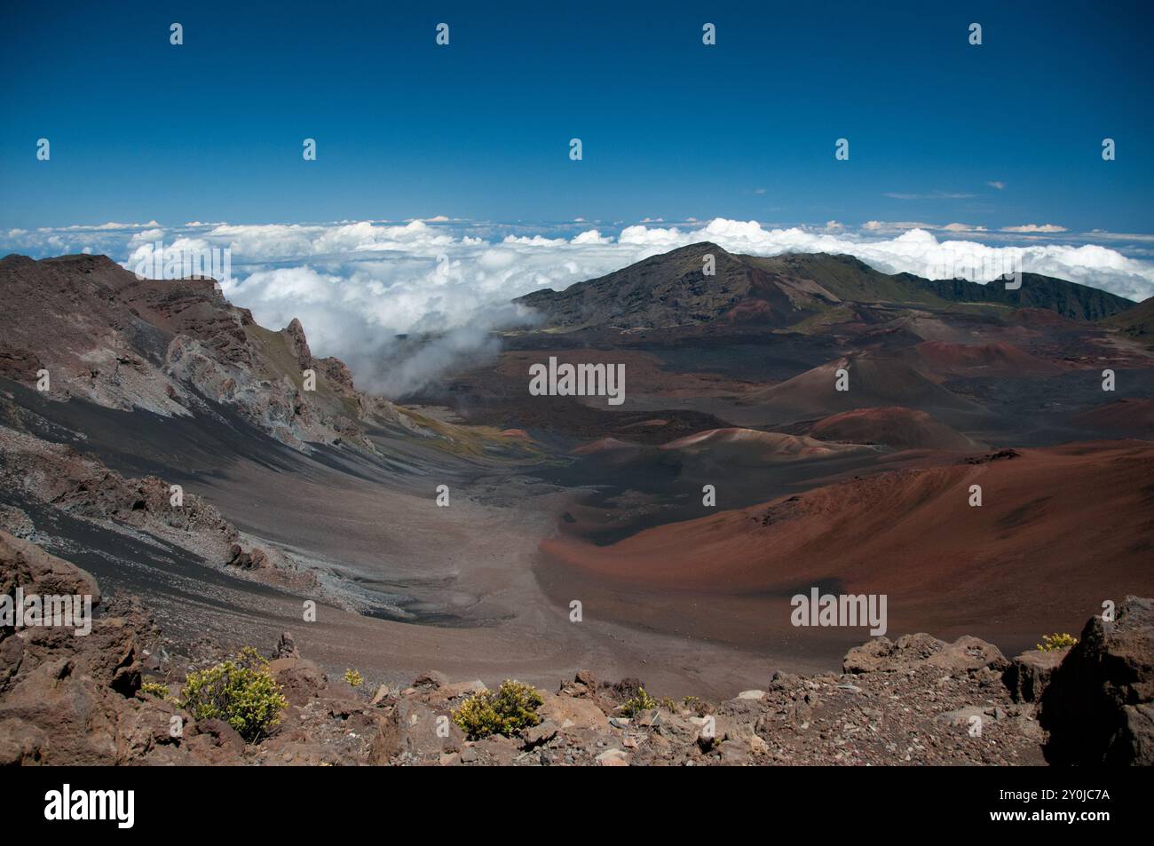 Parco nazionale di Haleakala Caldera, sopra le nuvole Foto Stock