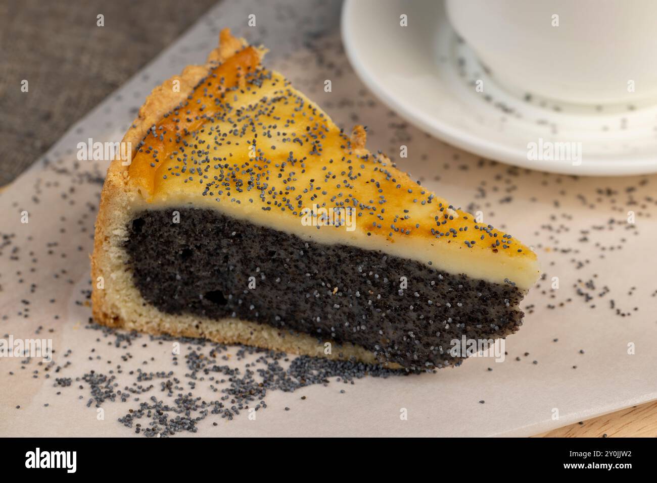 Deliziosa torta di semi di papavero con una sottile torta di spugna e molto ripieno di semi di papavero, un delizioso dessert di torta di spugna e ripieno di semi di papavero dolce Foto Stock