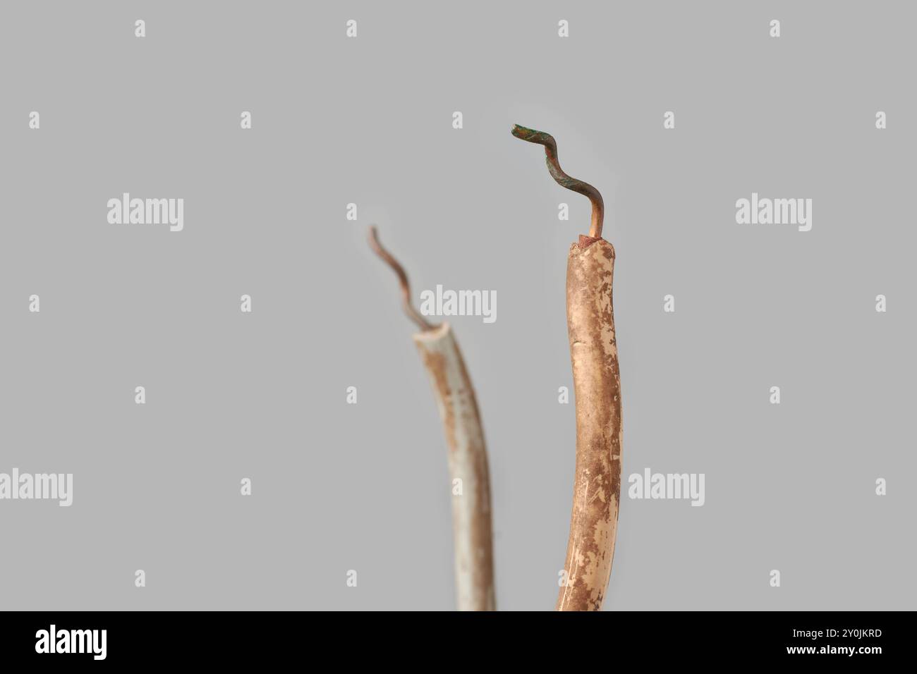 primo piano di fili elettrici in rame ossidato sfondo grigio isolato, cavi di cablaggio domestici scartati con isolamento sporco, messa a fuoco morbida con spazio di copia Foto Stock