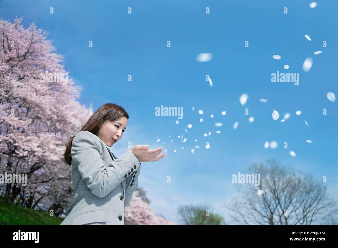 Studentessa soffia i petali con ciliegio e cielo blu sullo sfondo Foto Stock