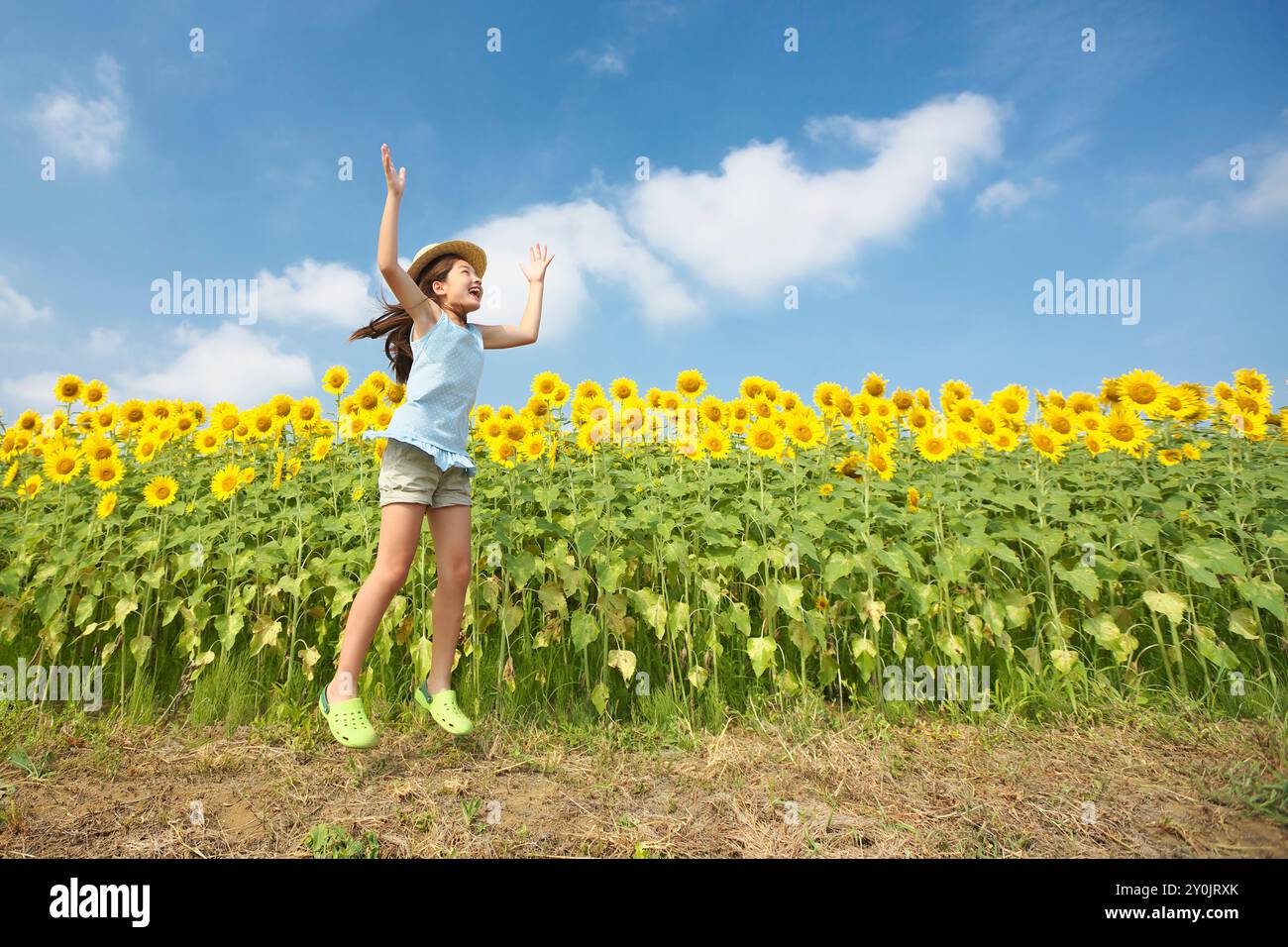 Ragazza che salta allegramente nel campo di girasole Foto Stock