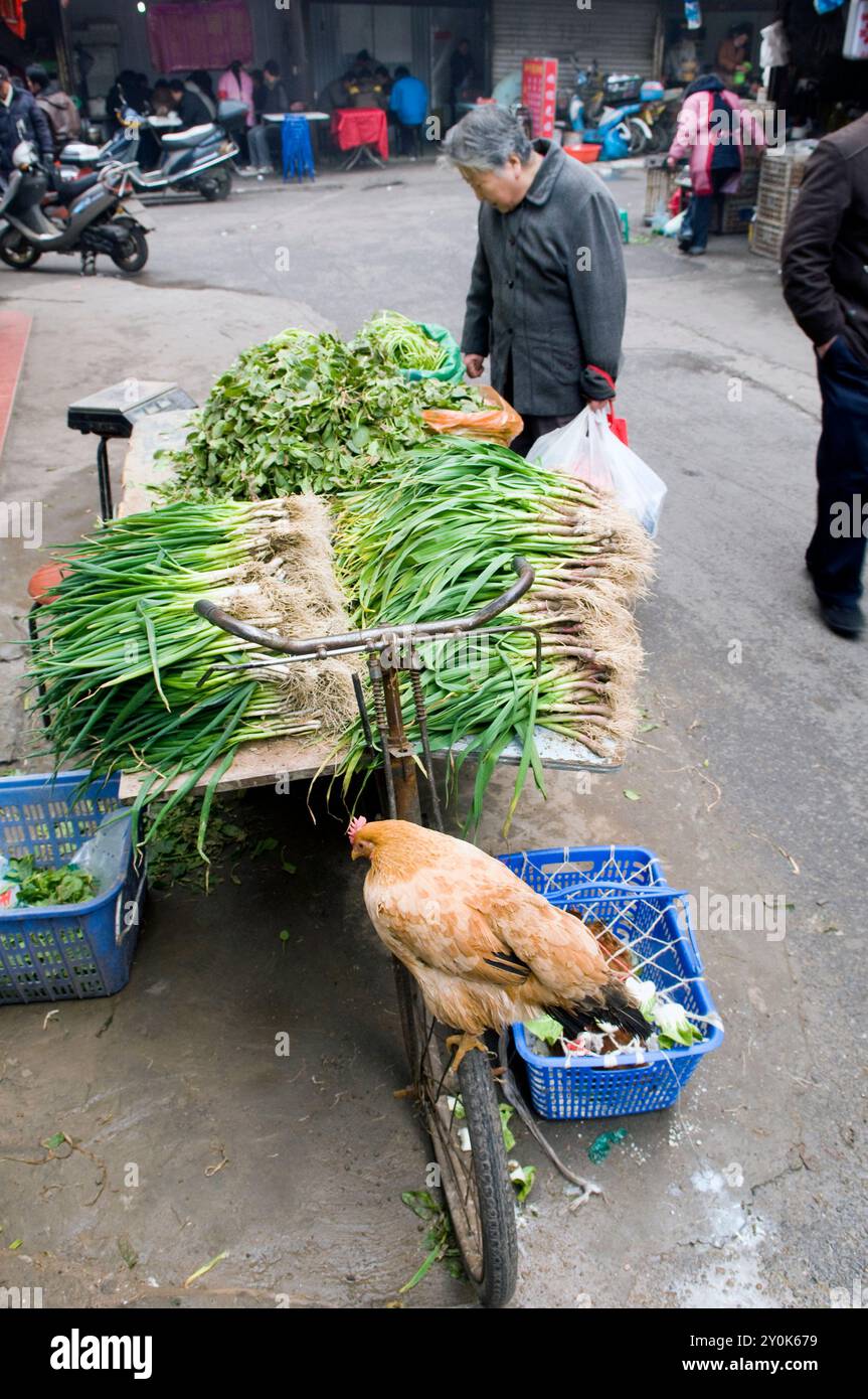 Scene di mercato in Cina. Foto Stock
