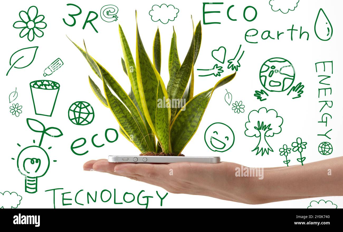 Mano di donna che ha una pianta che cresce da smartphone Foto Stock