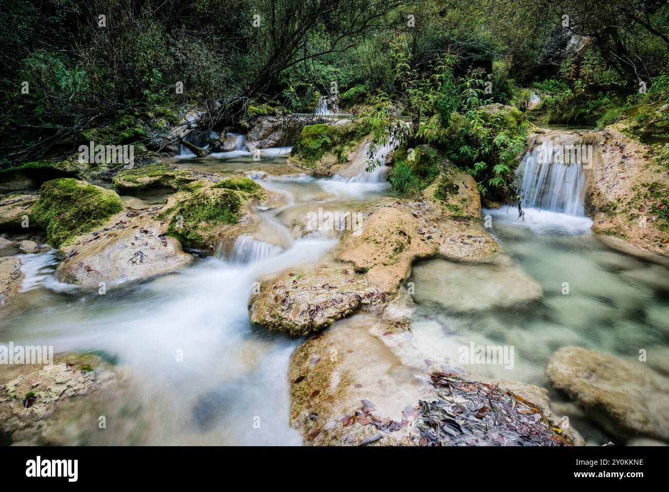 Sorgente del fiume Urederra, parco naturale Urbasa-Andia, comunità foral di Navarra, Spagna Foto Stock