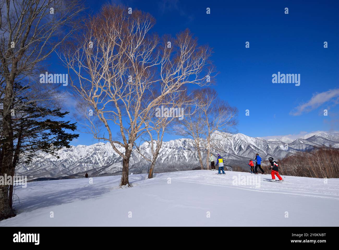 Monte Togakushiyama dalla stazione sciistica di Togakushi Foto Stock