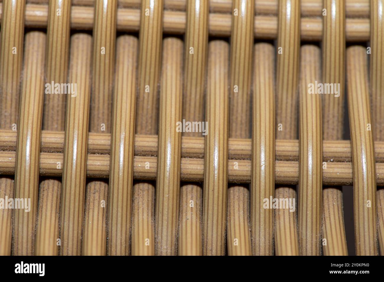 Un motivo di bambù naturale e fluido che forma uno sfondo sereno e organico. Foto Stock