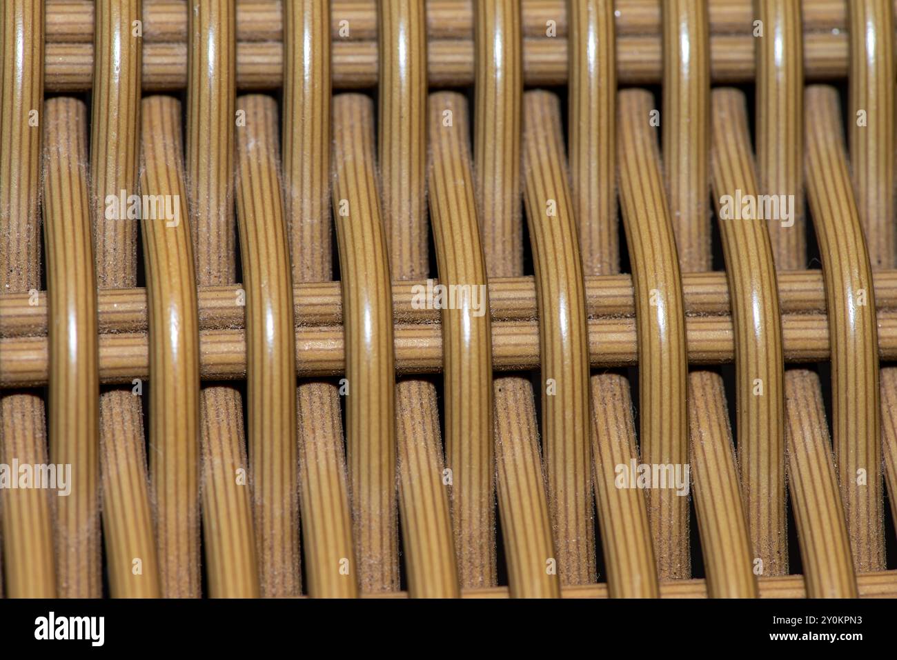 Un motivo di bambù naturale e fluido che forma uno sfondo sereno e organico. Foto Stock