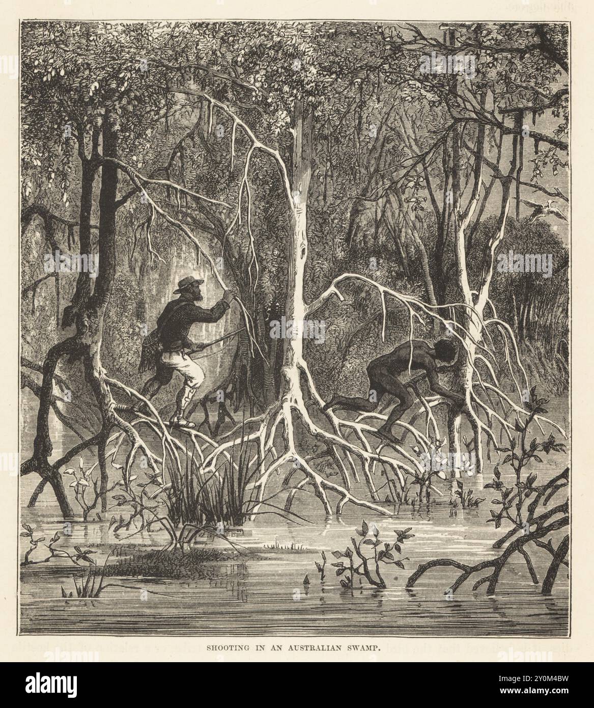 Caccia di colonisti britannici con una guida aborigena nella palude di mangrovie, XIX secolo. Tiro in una palude australiana. Woodcut tratto da The Races of Mankind, Cassell, Petter and Galpin di Robert Brown, Londra, 1873. Foto Stock