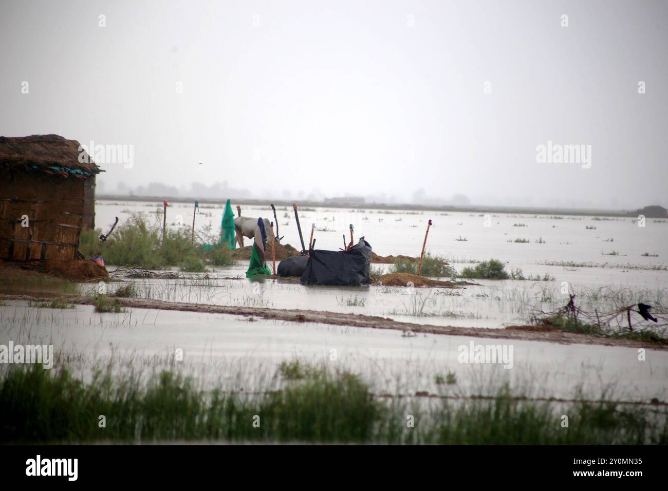 Dadu. 2 settembre 2024. Questa foto scattata il 2 settembre 2024 mostra un'area allagata nel distretto di Dadu, nella provincia meridionale del Sindh in Pakistan. Negli ultimi due mesi sono state uccise 293 persone e altre 564 sono rimaste ferite in incidenti provocati dalla pioggia monsonica in Pakistan, poiché le forti piogge hanno continuato a causare il caos in alcune parti del paese, secondo l'Autorità nazionale di gestione delle catastrofi. Crediti: Jan Ali/Xinhua/Alamy Live News Foto Stock