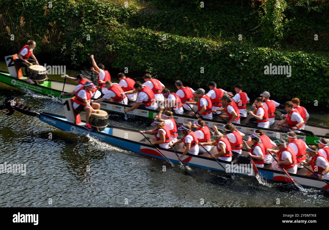 Corse di Dragon boat sul fiume Medway nel centro di Tonbridge nel Kent. I canottieri su due draghi competono per il trofeo dei vincitori. Foto Stock