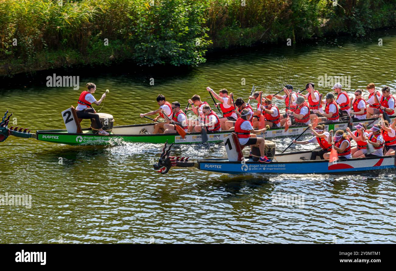 Corse di Dragon boat sul fiume Medway nel centro di Tonbridge nel Kent. I canottieri su due draghi competono per il trofeo dei vincitori. Foto Stock