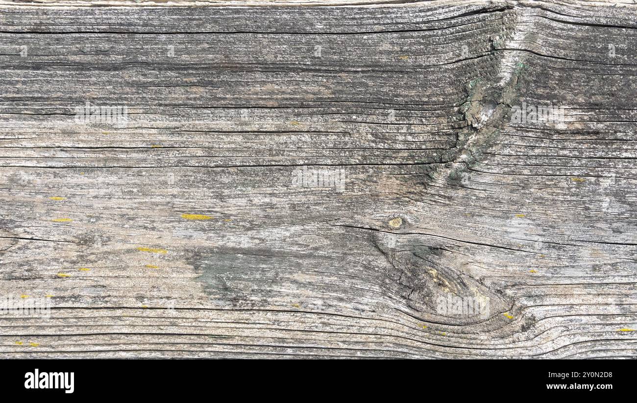 Superficie in legno intemprato con texture naturale che mette in risalto complessi motivi di venatura e sottili variazioni di colore, perfetta per elementi di design rustici Foto Stock