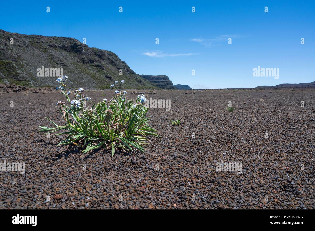 L'arida pianura della Plaine des Sables del Piton de la Fournaise sull'isola francese di la Réunion, in Francia Foto Stock