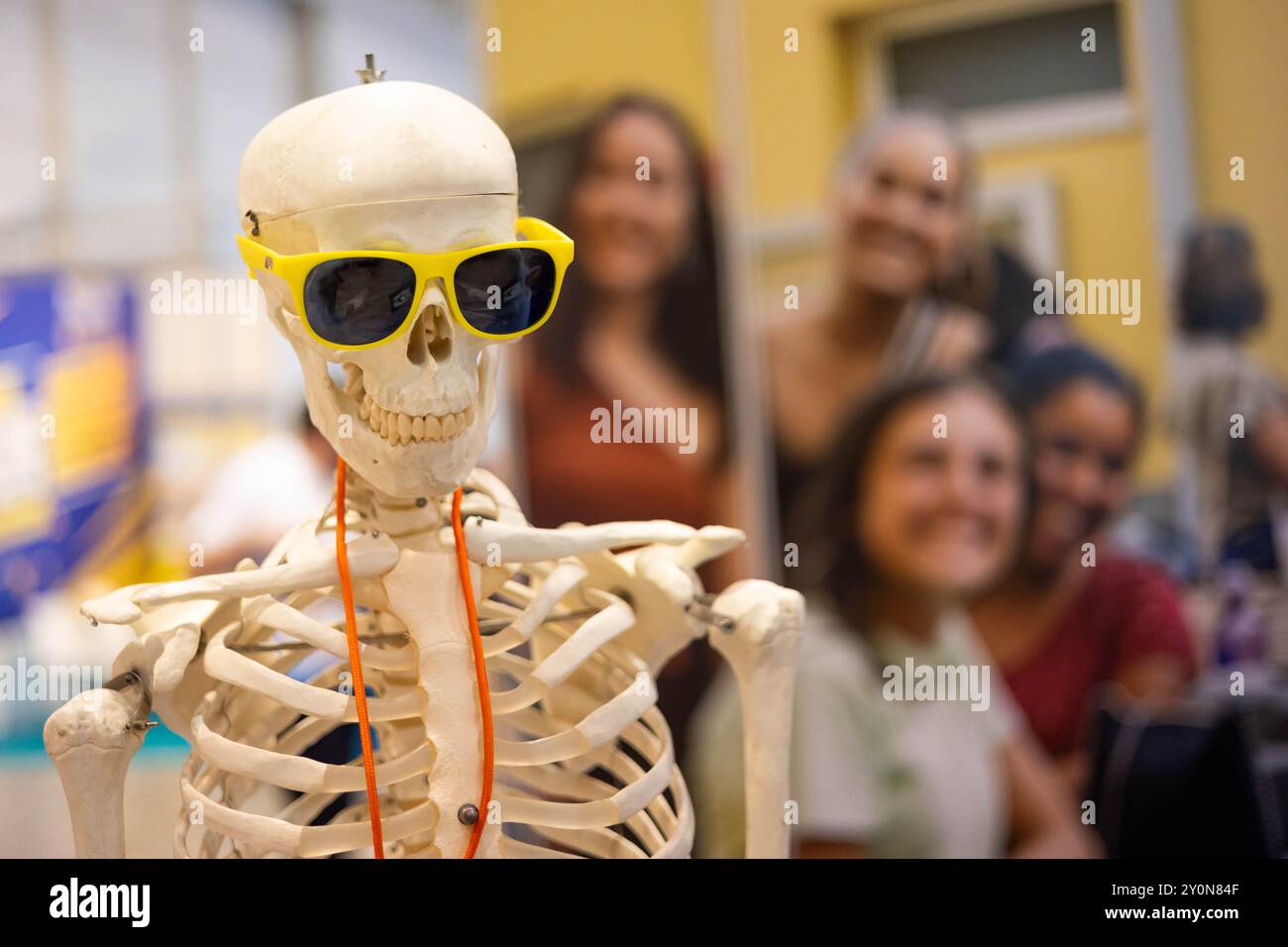 Uno scheletro con occhiali che fa promozione per una scuola di medicina per attirare gli studenti. Foto Stock
