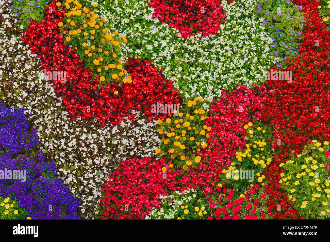 Primo piano della scultura del cucciolo ricoperta di fiori da Jeff Koons di fronte al museo d'arte Guggenheim di Bilbao, Paesi Baschi, Euskadi, Spagna Foto Stock